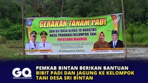 Pemkab Bintan Berikan Bantuan Bibit Padi dan Jagung ke Kelompok Tani Desa Sri Bintan