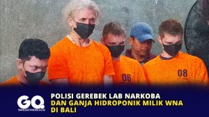 Polisi Gerebek Lab Narkoba dan Ganja Hidroponik Milik WNA di Bali