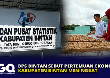 BPS Bintan Sebut Pertemuan Ekonomi Kabupaten Bintan Meningkat