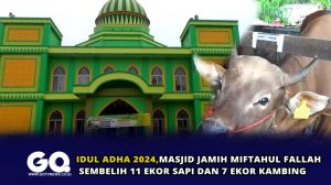 Idul Adha 2024, Masjid Jami Miftahul Falah Sembelih 11 Ekor Sapi dan 7 Ekor Kambing