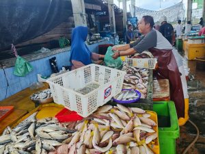 Harga Ikan Masih Dimonopili Tauke, Pedagang Ikan di Bintan Keluhkan Daya Beli Masyarakat Menurun