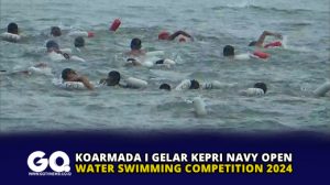 Koarmada I Gelar Kepri Navy Open Water Swimming Competition 2024