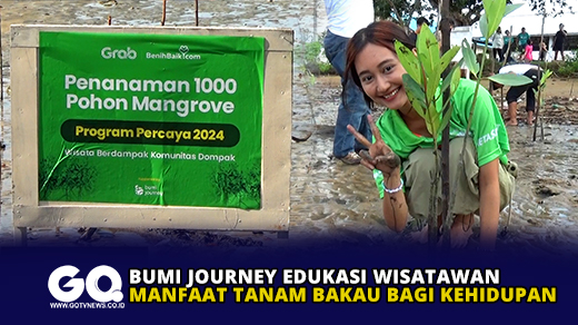 Bumi Journey Edukasi Wisatawan Manfaat Tanam Bakau Bagi Kehidupan