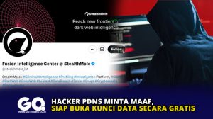 Hacker PDNS Minta Maaf, Siap Buka Kunci Data Secara Gratis
