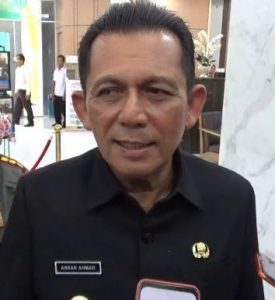 Ansar Ahmad Belum Tentukan Pendamping di Pilkada Kepri 2024