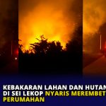 Kebakaran Lahan dan Hutan di Sei Lekop Nyaris Merembet ke Lokasi Perumahan
