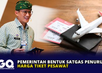 Pemerintah Bentuk Satgas Penurunan Harga Tiket Pesawat