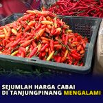 Sejumlah Harga Cabai di Tanjungpinang Mengalami Kenaikan