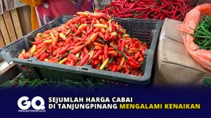 Sejumlah Harga Cabai di Tanjungpinang Mengalami Kenaikan