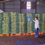 Penuhi Kebutuhan Masyarakat, Bulog Tanjungpinang Akan Datangkan 2.000 Ton Beras