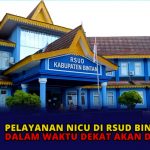 Pelayanan NICU di RSUD Bintan Dalam Waktu Dekat Akan Diresmikan