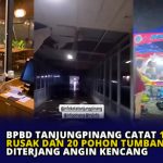 BPBD Tanjungpinang Catat 17 Rumah Rusak dan 20 Pohon Tumbang Diterjang Angin Kencang