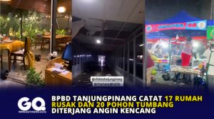 BPBD Tanjungpinang Catat 17 Rumah Rusak dan 20 Pohon Tumbang Diterjang Angin Kencang