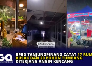 BPBD Tanjungpinang Catat 17 Rumah Rusak dan 20 Pohon Tumbang Diterjang Angin Kencang