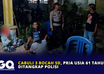 Cabuli 3 Bocah SD, Pria Usia 61 Tahun Ditangkap Polisi