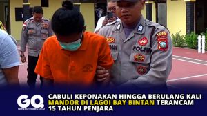 Cabuli Keponakan Hingga Berulang Kali, Mandor di Lagoi Bay Bintan Terancam 15 Tahun Penjara