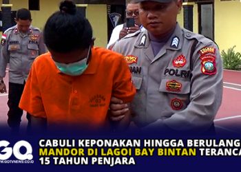 Cabuli Keponakan Hingga Berulang Kali, Mandor di Lagoi BAI Bintan Terancam 15 Tahun Penjara