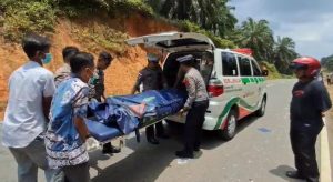 Polisi Ungkap Kronologi Laka Motor ‘Adu Kambing’ di Jalan Lintas Timur Bintan