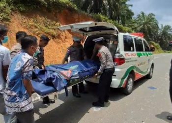 Polisi Ungkap Kronologi Laka Motor 'Adu Kambing' di Jalan Lintas Timur Bintan.