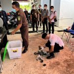 Kejari Bintan Musnahkan Barang Bukti Periode Maret – September 2024