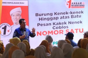 Didukung KIM Plus, Ansar Optimis Pembangunan Jembatan Batam-Bintan Terwujud