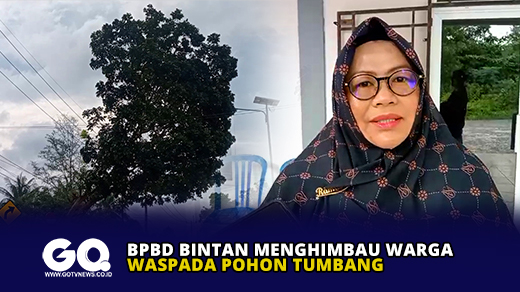 BPBD Bintan Menghimbau Warga Waspada Pohon Tumbang