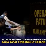Balai Karantina Hewan Ikan dan Tumbuhan Kepri Razia Kapal Pengangkut Barang