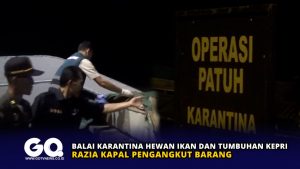 Balai Karantina Hewan Ikan dan Tumbuhan Kepri Razia Kapal Pengangkut Barang