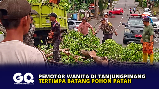 Pemotor Wanita di Tanjungpinang Tertimpa Batang Pohon Patah
