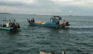 Nelayan Tradisional Bintan Keluhkan Aktivitas Kapal Pukat Bilis Didekat Kelong Nelayan