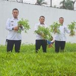 Dukung Ketahanan Pangan, Lapas Kelas IIA Tanjungpinang Panen Kangkung