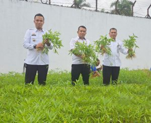 Dukung Ketahanan Pangan, Lapas Kelas IIA Tanjungpinang Panen Kangkung