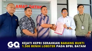 Kejati Kepri Serahkan Barang Bukti 1.500 Benih Lobster Pada BPBL Batam