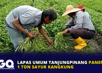 Lapas Umum Tanjungpinang Panen 1 Ton Sayur Kangkung
