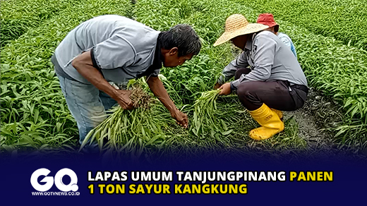 Lapas Umum Tanjungpinang Panen 1 Ton Sayur Kangkung