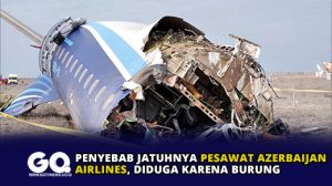 Penyebab Jatuhnya Pesawat Azerbaijan Airlines, Diduga Karena Burung