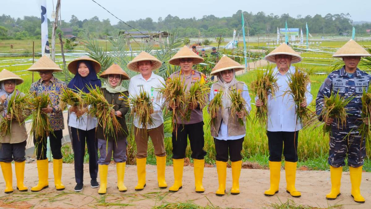 Wujudkan Ketahanan Pangan, BSIP Kepri Gelar Panen Bersama Perbenihan Padi Terstandar.