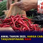 Awal Tahun 2025, Harga Cabai di Pasar Tanjungpinang Naik