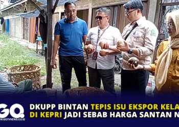 DKUPP Bintan Tepis Isu Ekspor Kelapa di Kepri Jadi Sebab Harga Santan Naik.