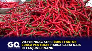 Disperindag Kepri Sebut Faktor Cuaca Penyebab Harga Cabai Naik di Tanjungpinang