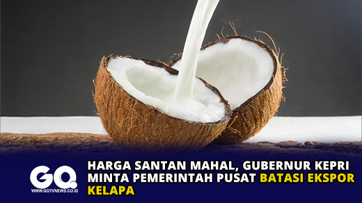 Harga Santan Mahal, Gubernur Kepri Minta Pemerintah Pusat Batasi Ekspor Kelapa