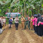 Polres Anambas Dukung Ketahanan Pangan Lewat Penanaman Jagung Serentak 1 Juta Hektar