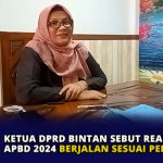 Ketua DPRD Bintan Sebut Realisasi APBD 2024 Berjalan Sesuai Perencanaan