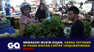 Memasuki Musim Hujan, Harga Sayuran di Pasar Bintan Center Tanjungpinang Naik