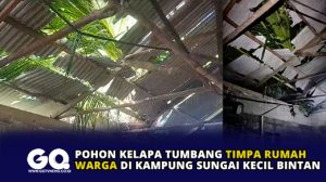 Pohon Kelapa Tumbang Timpa Rumah Warga di Kampung Sungai Kecil Bintan