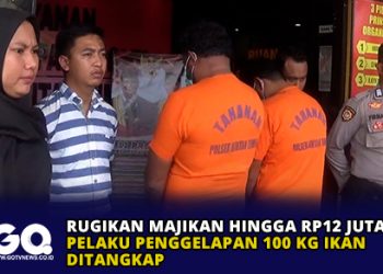 Rugikan Majikan Hingga Rp12 Juta, Pelaku Penggelapan 100 Kg Ikan Ditangkap