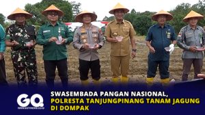 Swasembada Pangan Nasional, Polresta Tanjungpinang Tanam Jagung di Dompak