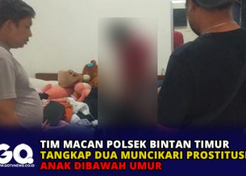 Tim Macan Polsek Bintan Timur Tangkap Dua Muncikari Prostitusi Anak Dibawah Umur