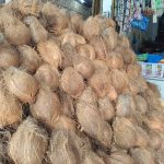 Harga Santan di Tanjungpinang Melonjak Hingga Rp.35 Ribu per Kilogram