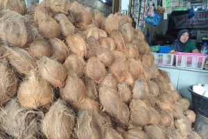 Harga Santan di Tanjungpinang Melonjak Hingga Rp.35 Ribu per Kilogram